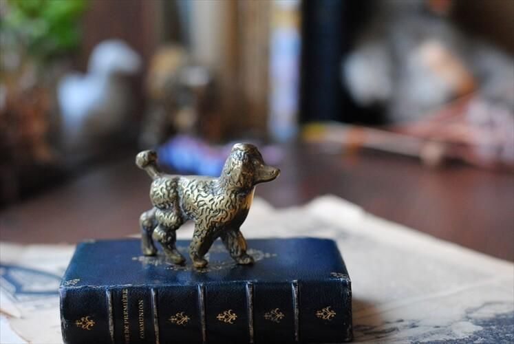 ե󥹤Υ֥Ȥ ʿ﫤Υסɥ  ֥ ֥饹 ե奢 ƥꥢ ʪ Ź޽ ƥ_230822