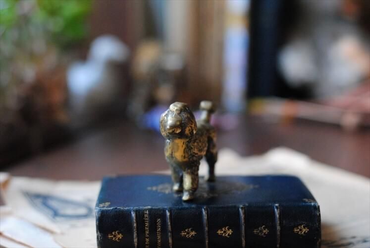 ե󥹤Υ֥Ȥ ʿ﫤Υסɥ  ֥ ֥饹 ե奢 ƥꥢ ʪ Ź޽ ƥ_230822