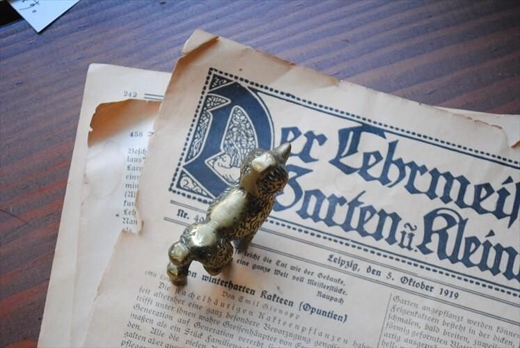 ե󥹤Υ֥Ȥ ʿ﫤Υסɥ  ֥ ֥饹 ե奢 ƥꥢ ʪ Ź޽ ƥ_230822