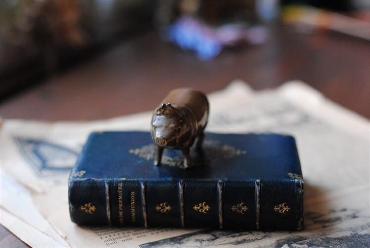 ե󥹤Υ֥Ȥ ʿ﫤Υ֥  Pig ֥ ֥饹 ե奢 ƥꥢ ʪ Ź޽ ƥ_230822