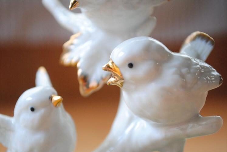 ɥĤ 򼧴ξĻ ֥ ƥꥢ ǥץ쥤 ʪ ե奢 ƥ ơ ƫ_ig3496