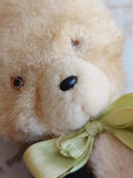 Cantik Bear/アンティークレースを着たベア | テディベア