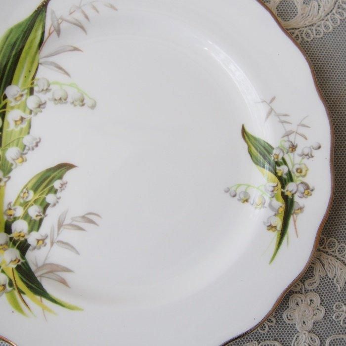 TB0659
ꥹMelba 󡡥⡼ץ졼