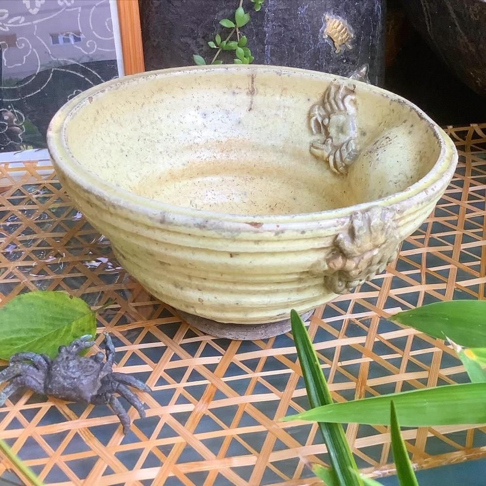 昭和レトロ 金魚鉢 - ANTIQUE LEAVES