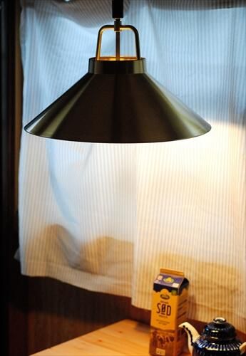 ǥޡ  ڥȥ饤 43cm 绱 ̲ ֥饹   ơ ߥåɥ꡼ ƥ_230922