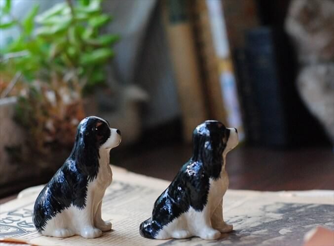 ꥹ Quail 󥰡㡼륺ѥ˥Υȡڥåѡ    ɥå ƴ ѹ񥢥ƥ