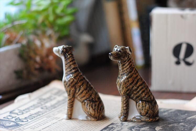 ꥹ Quail 쥤ϥɤΥȡڥåѡ    ɥå ƴ ѹ񥢥ƥ_230925