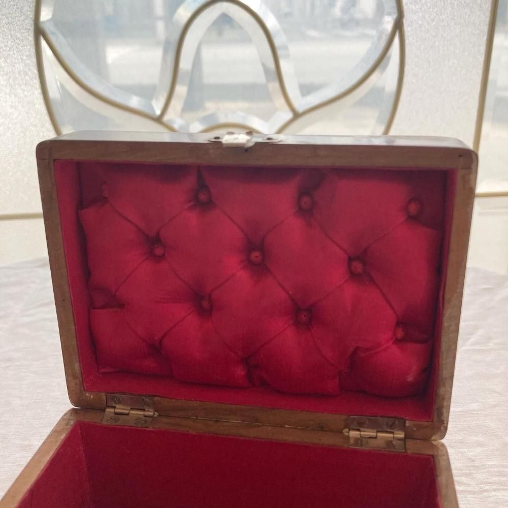 ڥեľ͢۰Τ勞Ũ ե󥹥ƥ ⥷ (Ȣ)