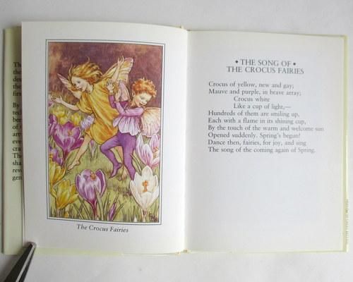 イギリス製ヴィンテージ本 - ANTIQUE LEAVES