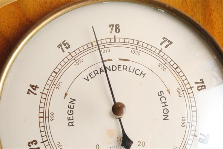 ɥ ɳݤٷ ٷ  ᡼ ߥåɥ꡼ ơ ƥ_231006