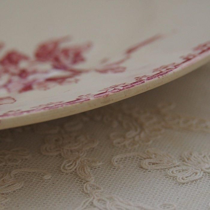 TB0730
ե󥹡SARREGUEMINESFAVORI륰ߥ̡СɡĻ åɡ֤ץ졼