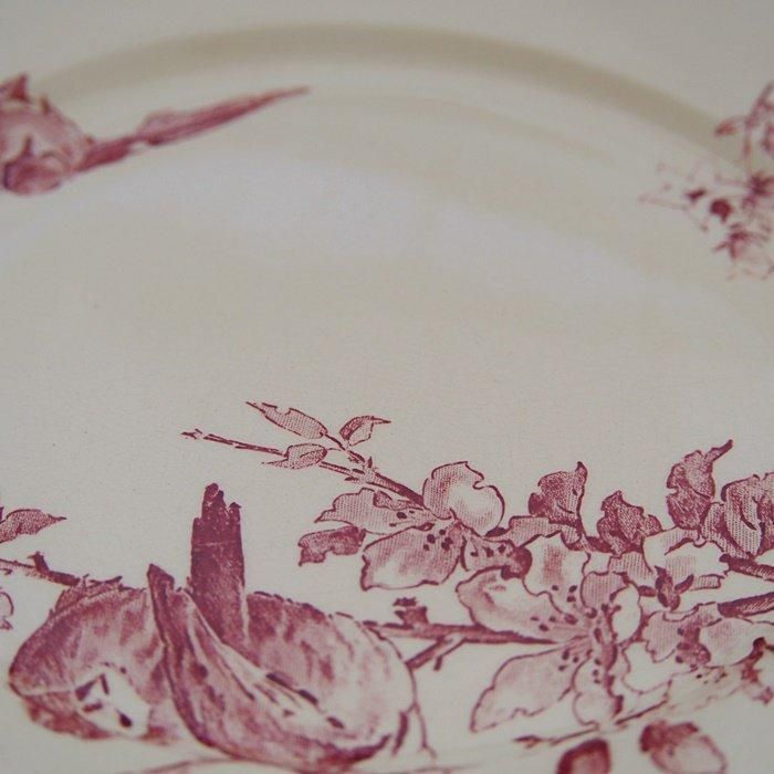 サルグミンヌ プレート 鳥 模様 赤色 アンティーク