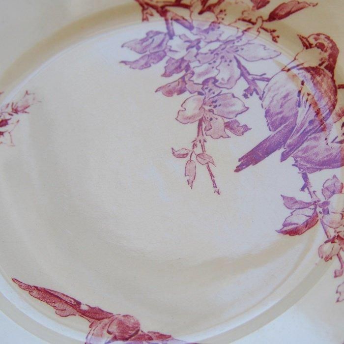 サルグミンヌ プレート 鳥 模様 赤色 アンティーク