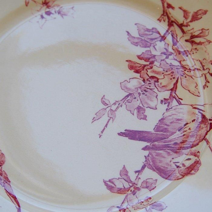 美品　フランス　アンティーク　サルグミンヌ　favori 平皿プレート　赤 美品 フランス アンティーク サルグミンヌ favori 平皿プレート 赤