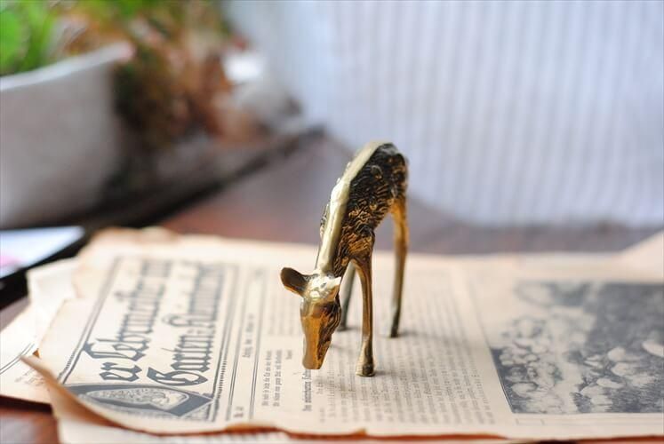 ե󥹤Υ֥Ȥ 﫤Υ ֥ ֥饹 Ƽ Deer ե奢 ƥꥢ ʪ Ź޽ ƥ_231013