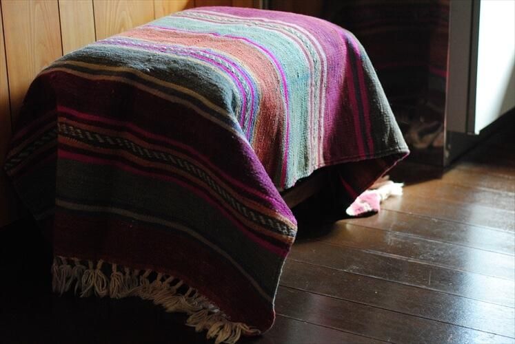 ȥ륳  ɥ 饰 12370cm ʡ ȥɥ ץ饰ȤƤ⡪  ڥå _231016