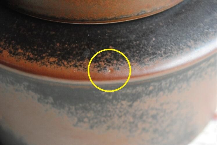  ARABIA ӥ 륹 ƥݥå Ruska ̲ ե ƫ ̲ ơ ƥ_it2625