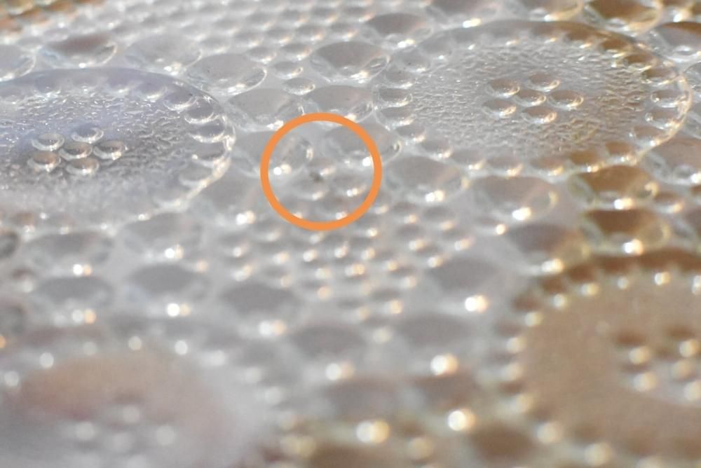 ڥơʡ Riihimaen lasi Grapponiaɡʥꥢ˥꡼ҥޥ饷 åݥ˥ ץ졼ȡ14.5cmB