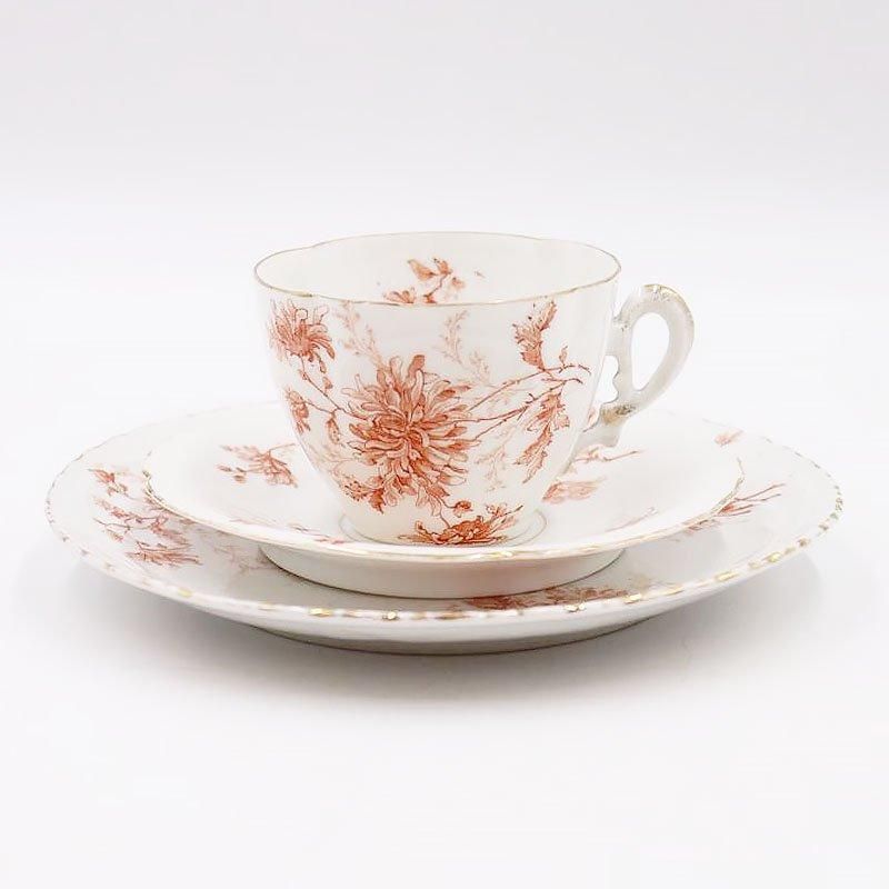  ȥꥪ ƥåס  ȥꥢ Springer & Co.   쥬ȡʲ