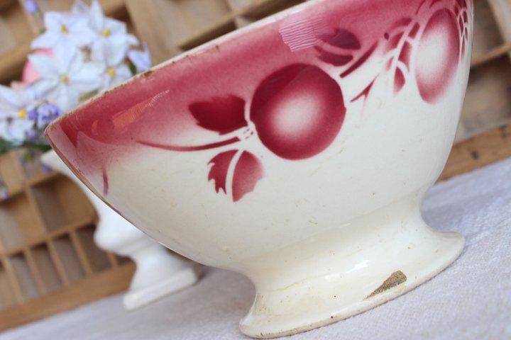 ե ƥ Badonviller եܥ ե롼ġåե󥹤ȯ