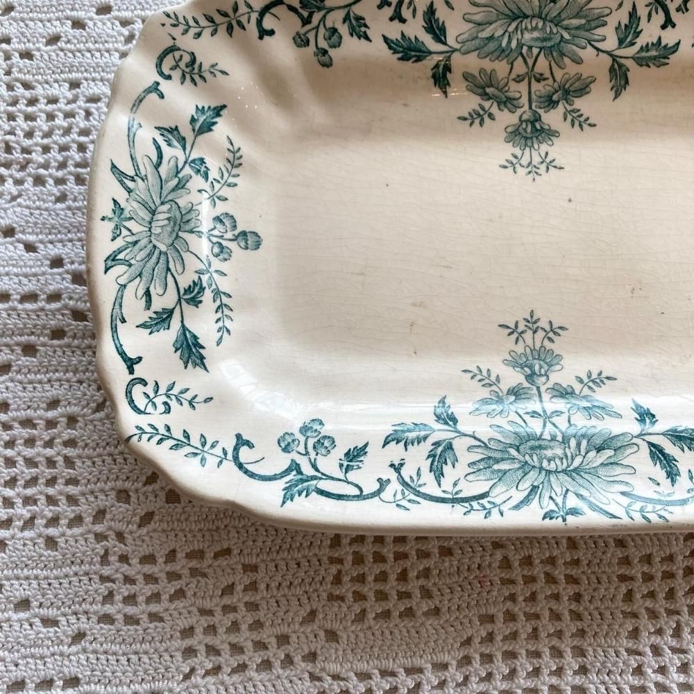 ڥեľ͢ 쥬ȤʷϵŨ 󥷥  Ĺѻ