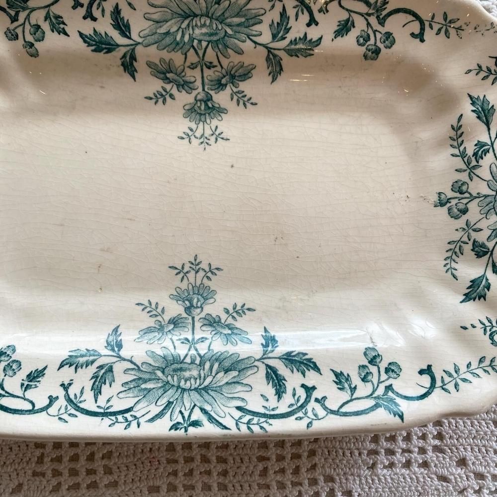 ڥեľ͢ 쥬ȤʷϵŨ 󥷥  Ĺѻ