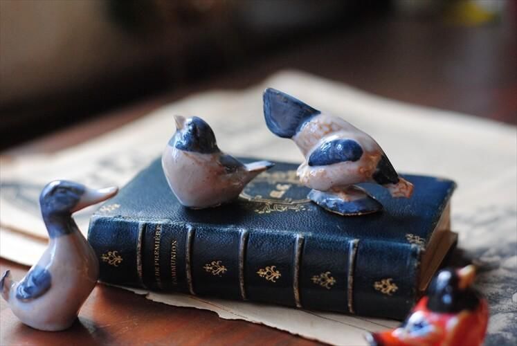 ǥޡ WILLYSDISSING KERAMIK ƫ Ļ֥4Υå Ļ  ˥ȥ ե奢 ̲ ƥꥢ ƥ231222 ig3668