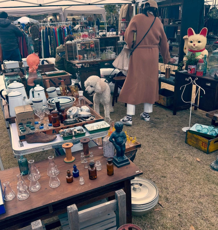 佐賀】鳥栖 JUNKYARD！｜11月15日(土)・16日(日)