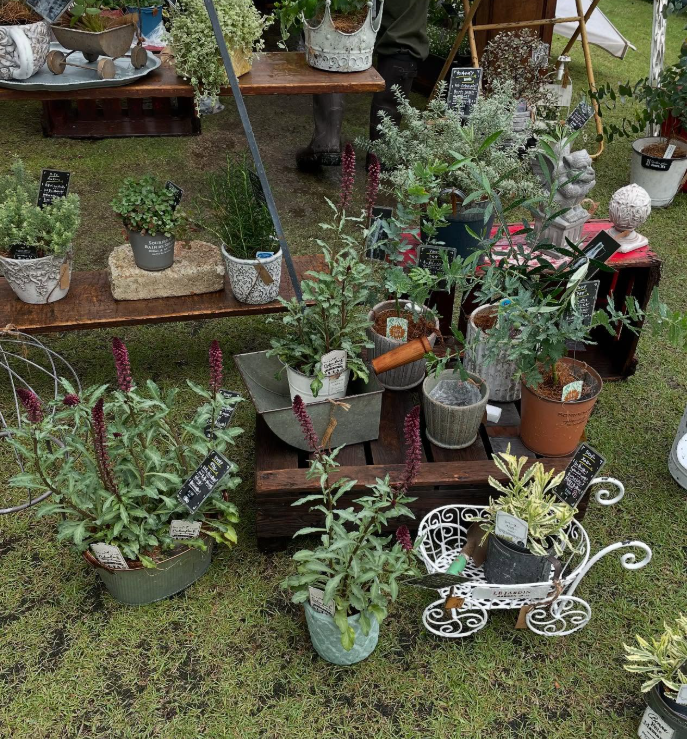 ♥骨董品 　唐津焼　 鉢 　大きく割れています　骨董　古玩 No.28 花唐草文輪花深中鉢 / Bowl with arabesque design