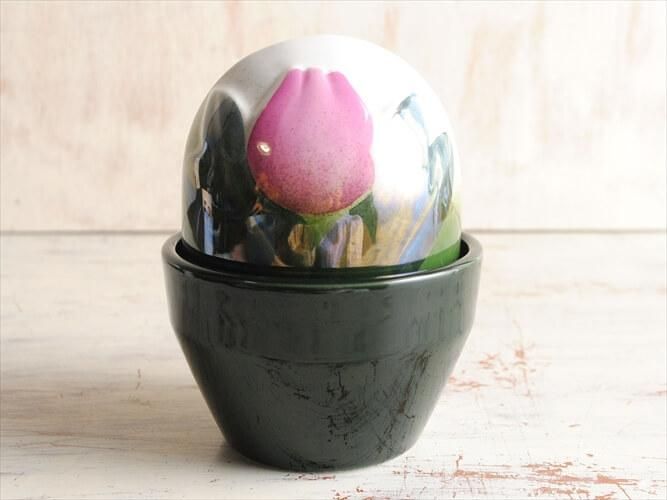 ARABIA ӥ Ikikukka դݥå ʪ 塼å ̲ ե ƫ ̲ ơ ƥ_it2717