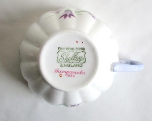 ꥹShelleyTVʥʥå˥å