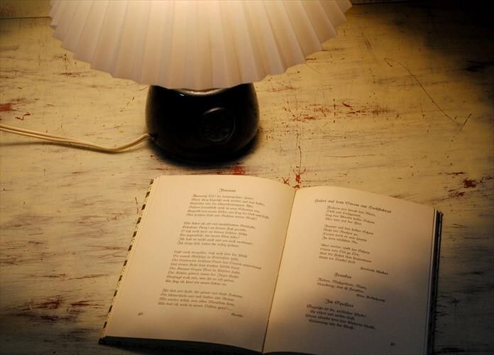 ǥޡ SOHOLM Nordlys ƫ ǥ դ ۥ ̲  ơ֥  饤 ƥ_240112 ig3699