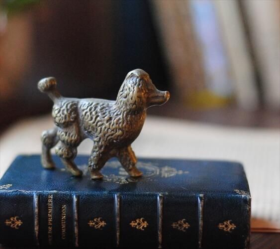 ե󥹤Υ֥Ȥ 﫤Υסɥ ֥ ֥饹  ɥå ե奢 ƥꥢ ʪ Ź޽ ƥ_240118 ig3718