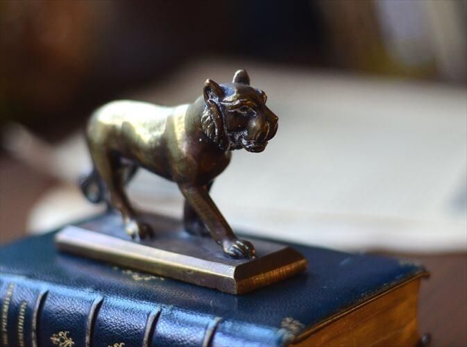 ե󥹤Υ֥Ȥ 﫤Υȥ  ֥ ֥饹 Tiger  ե奢 ƥꥢ ʪ Ź޽ ƥ ig3728