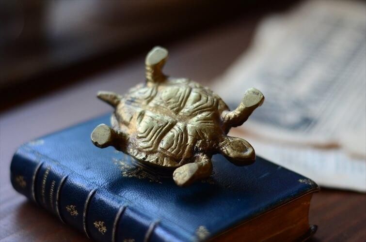 ե󥹤Υ֥Ȥ 﫤Υ  ֥ ֥饹 ȥ ե奢 ƥꥢ ʪ Ź޽ ƥ_240130 ig3729