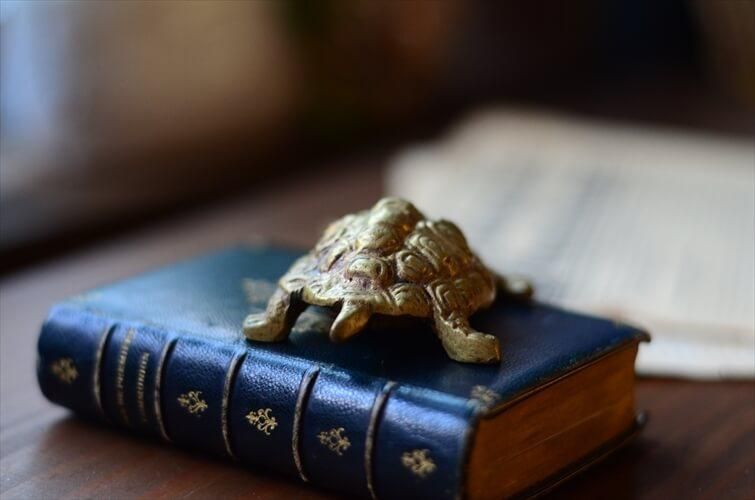 ե󥹤Υ֥Ȥ 﫤Υ  ֥ ֥饹 ȥ ե奢 ƥꥢ ʪ Ź޽ ƥ_240130 ig3729