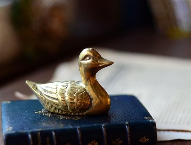 ե󥹤Υ֥Ȥ 﫤Υ륬  ֥ ֥饹 Ļ ҥ ե奢 ƥꥢ ʪ Ź޽ ƥ_240130 ig3730