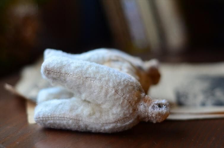 ɥĤΥơ 襤ƥꥢ ̤Τ̤ ͷ ե奢  ȥ ƥ_240130 ig3732