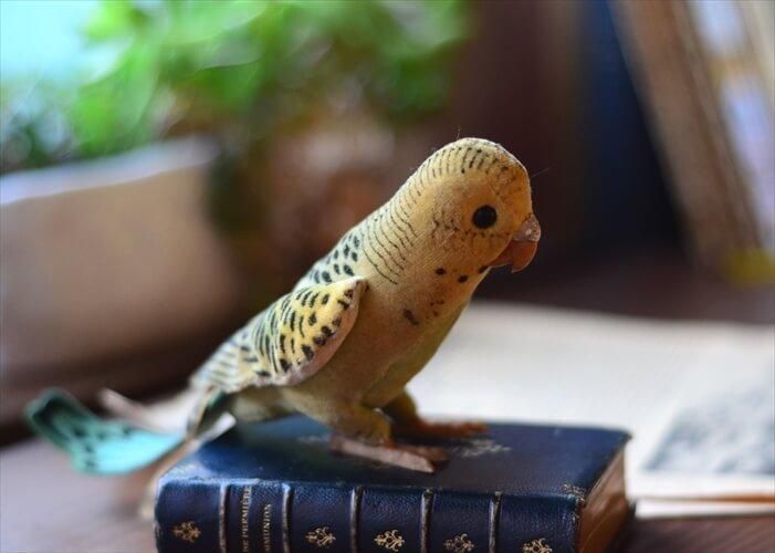 ɥ Steiff ơ  Hansi 奿 ϥ󥷡 ̤ ͷ ե奢 ȥ ƥ_240130 ig3734