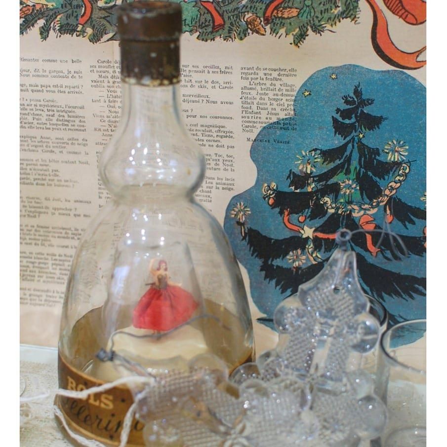 オランダの瓶　① セレクト】オランダST 12cm | 金魚・熱帯魚専門店 AquaPro.H