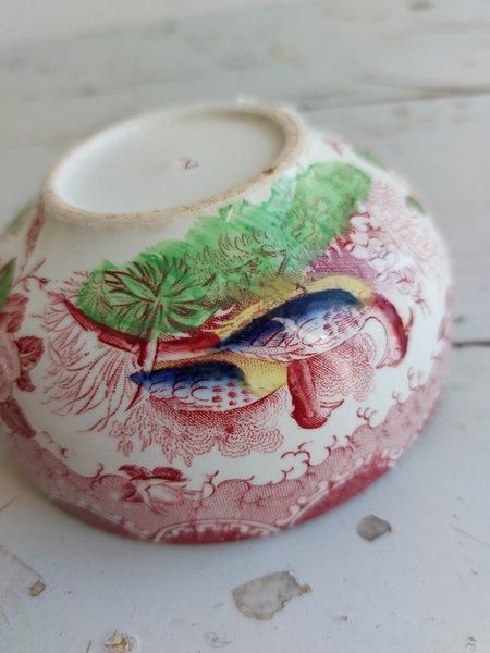 アンティークサルグミンヌカップ&ソーサー - ANTIQUE LEAVES アンティークサルグミンヌカップ&ソーサー - ANTIQUE LEAVES