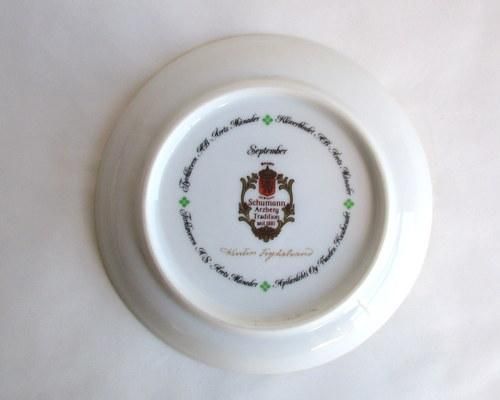 ɥSchumann Arzbergץ졼