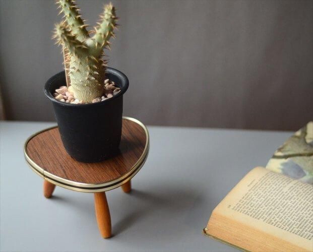 ɥ ơ ߥ˥ե  ߥåɥ꡼ ǥץ쥤  ƥ_240405 ig3863