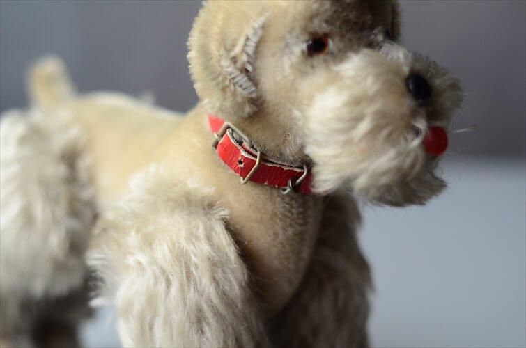 アンティーク シュタイフ プードル Steiff Snobby 10cmサイズ
