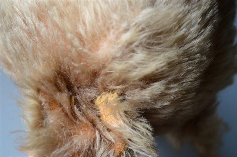 ɥĤ ơ ƥǥ٥ Teddy Bear 37cm ­ư ̤ ե奢 ƥ_240405 ig3867