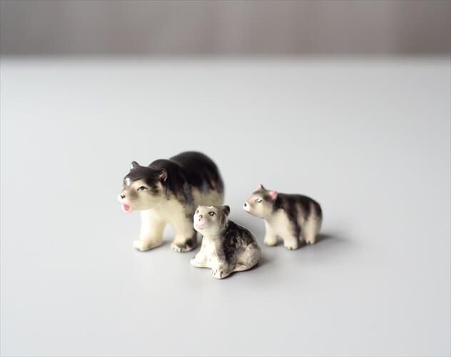 ウィンスタンレイキャット(ケンジントンキャット)グレーホワイトの猫 親子 ウィンスタンレイキャット(ケンジントンキャット)グレーホワイトの猫 親子