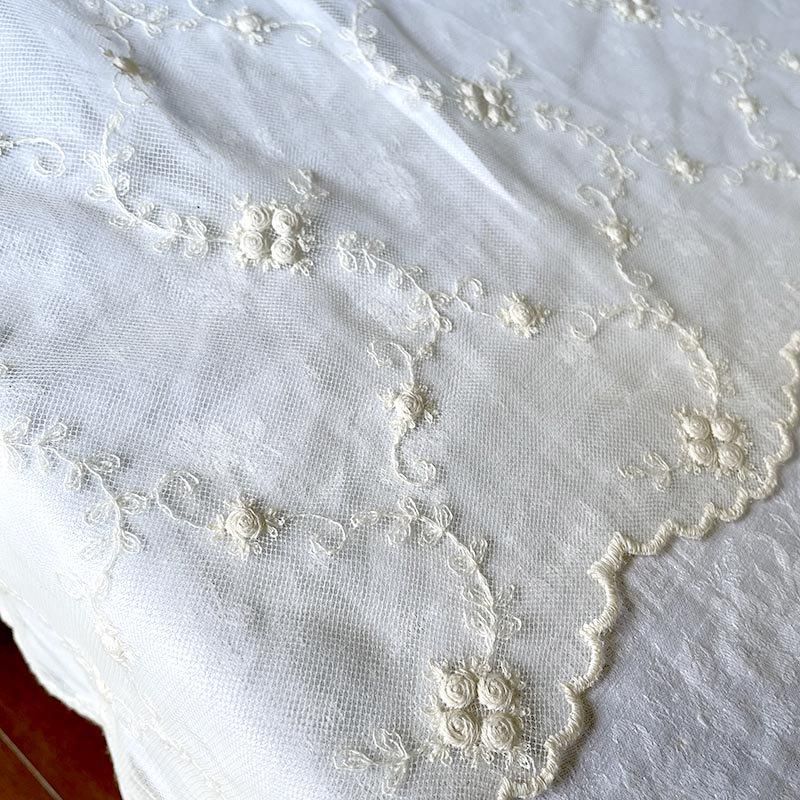 졼ϡ֥꡼ա硼롡ʪɽ
12cldg38