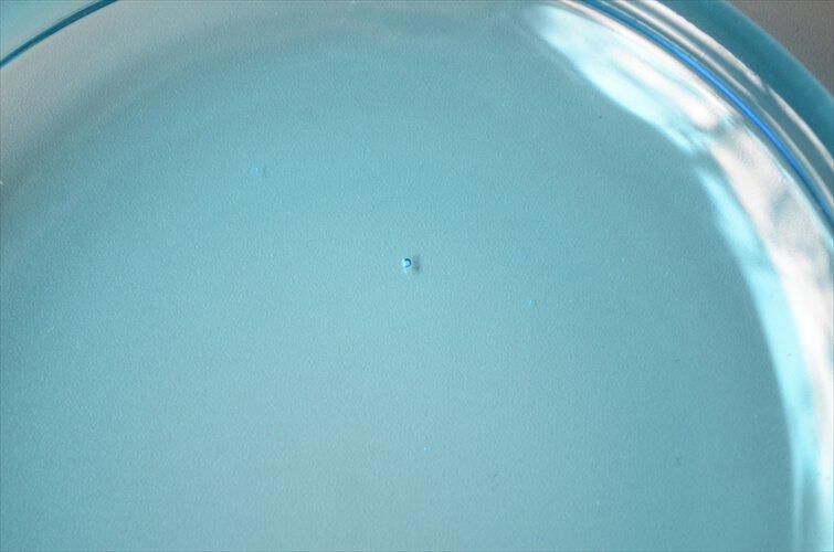 ե Nuutajarvi Luna 15cm ֥롼饹Υץ졼  ̡ ̲ ơ ƥ_it2863