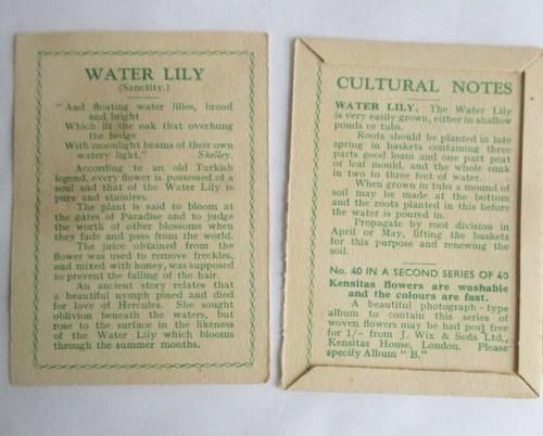 ꥹKensitas륯եåȥ