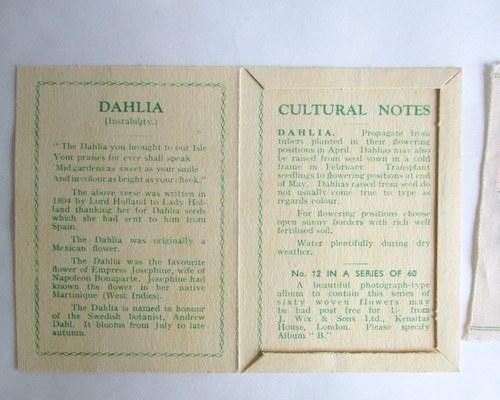 ꥹKensitas륯եåȥ